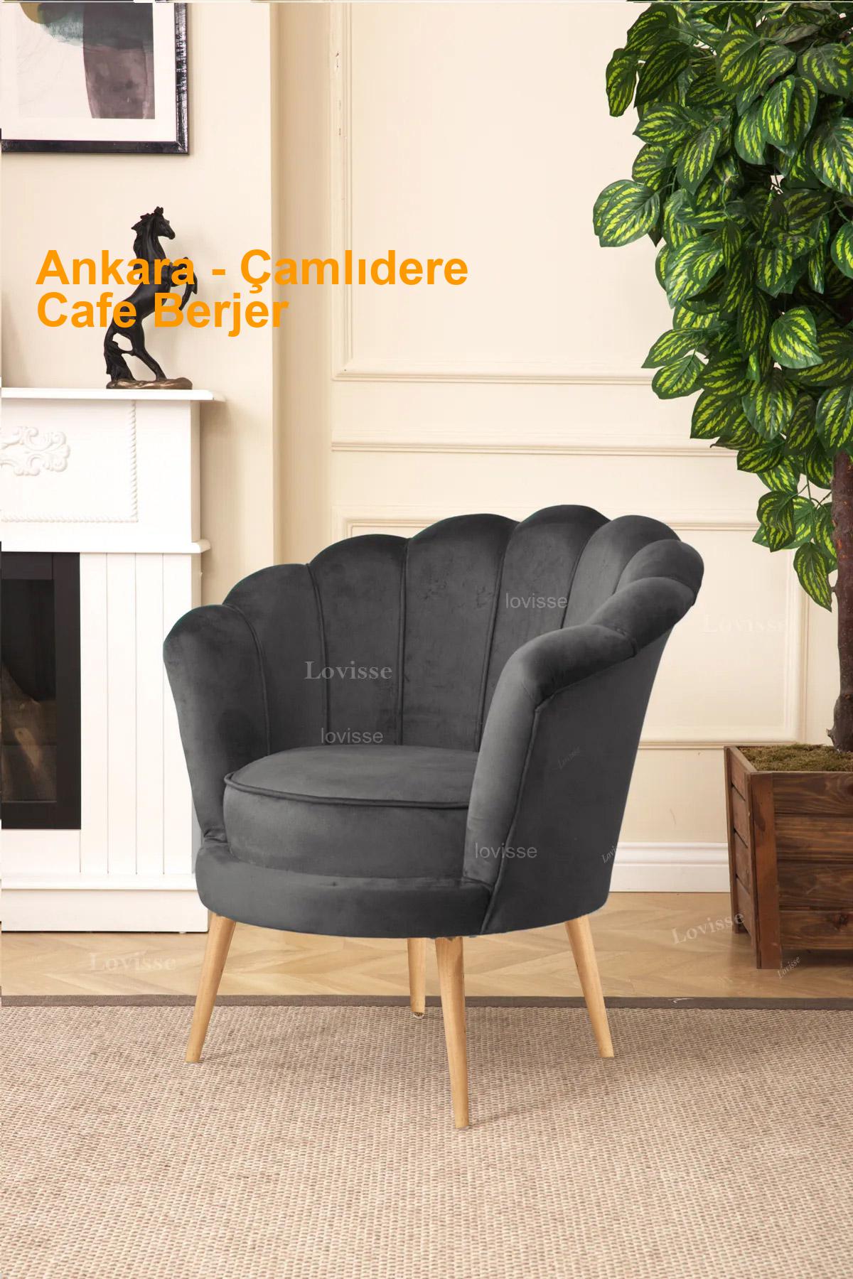 Ankara Çamlıdere Cafe Berjer