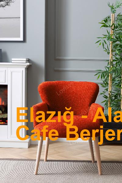 Elazığ Alacakaya Cafe Berjer