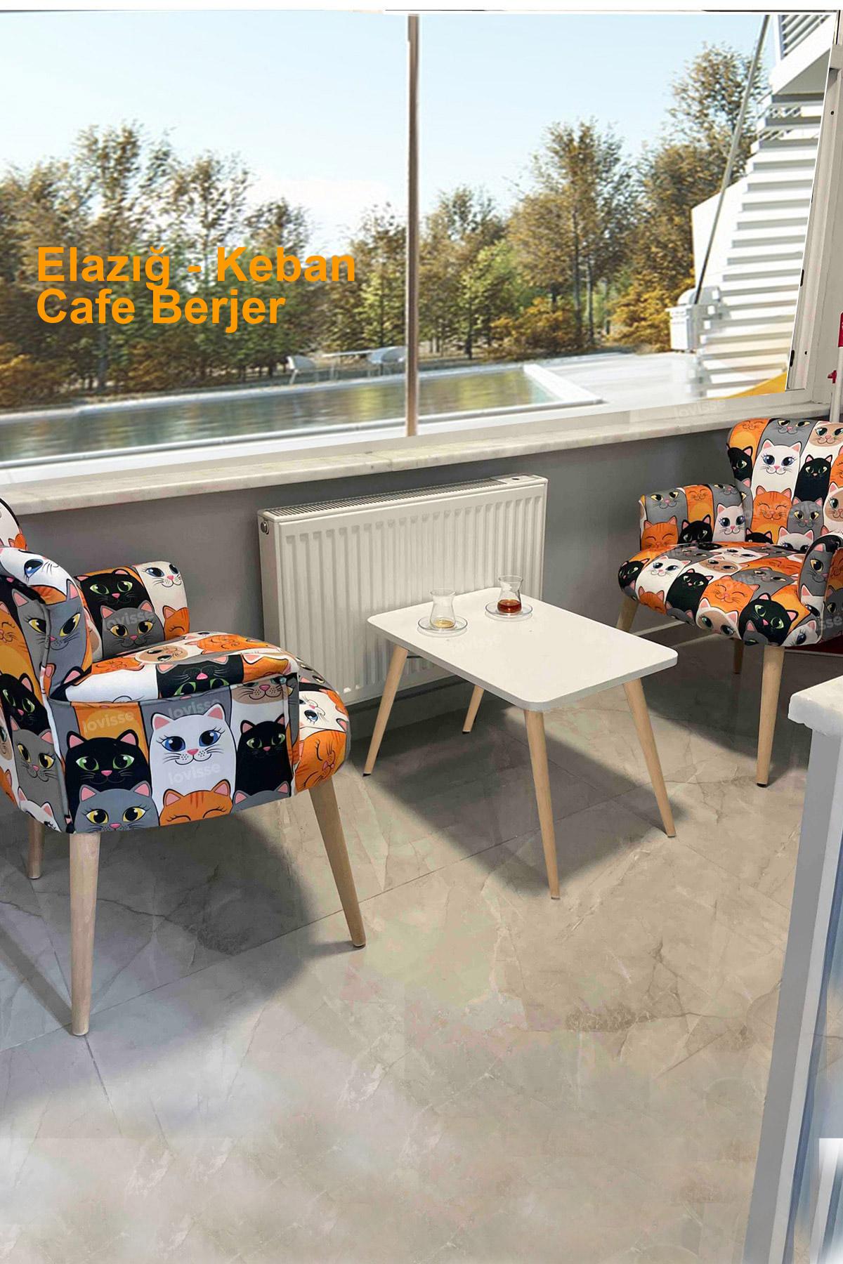 Elazığ Keban Cafe Berjer