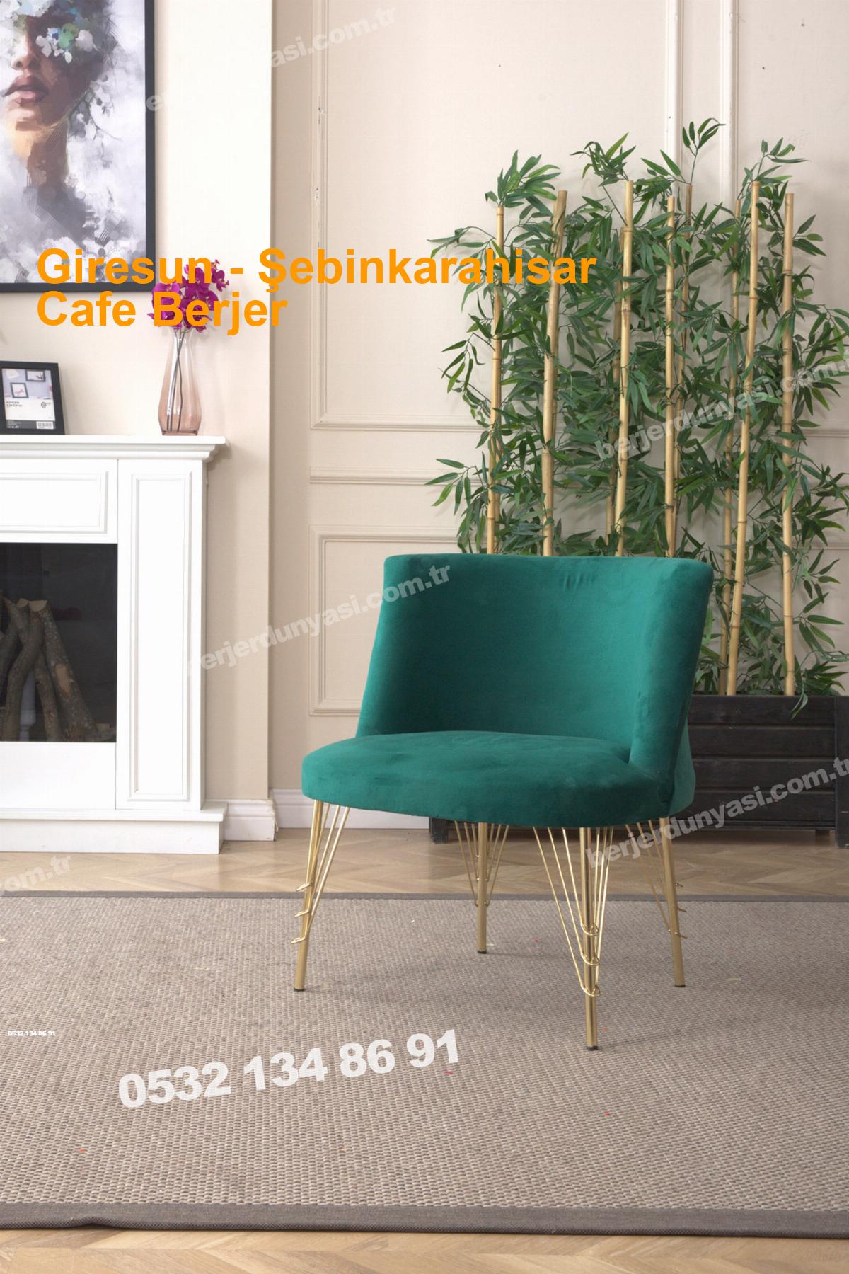 Giresun Şebinkarahisar Cafe Berjer