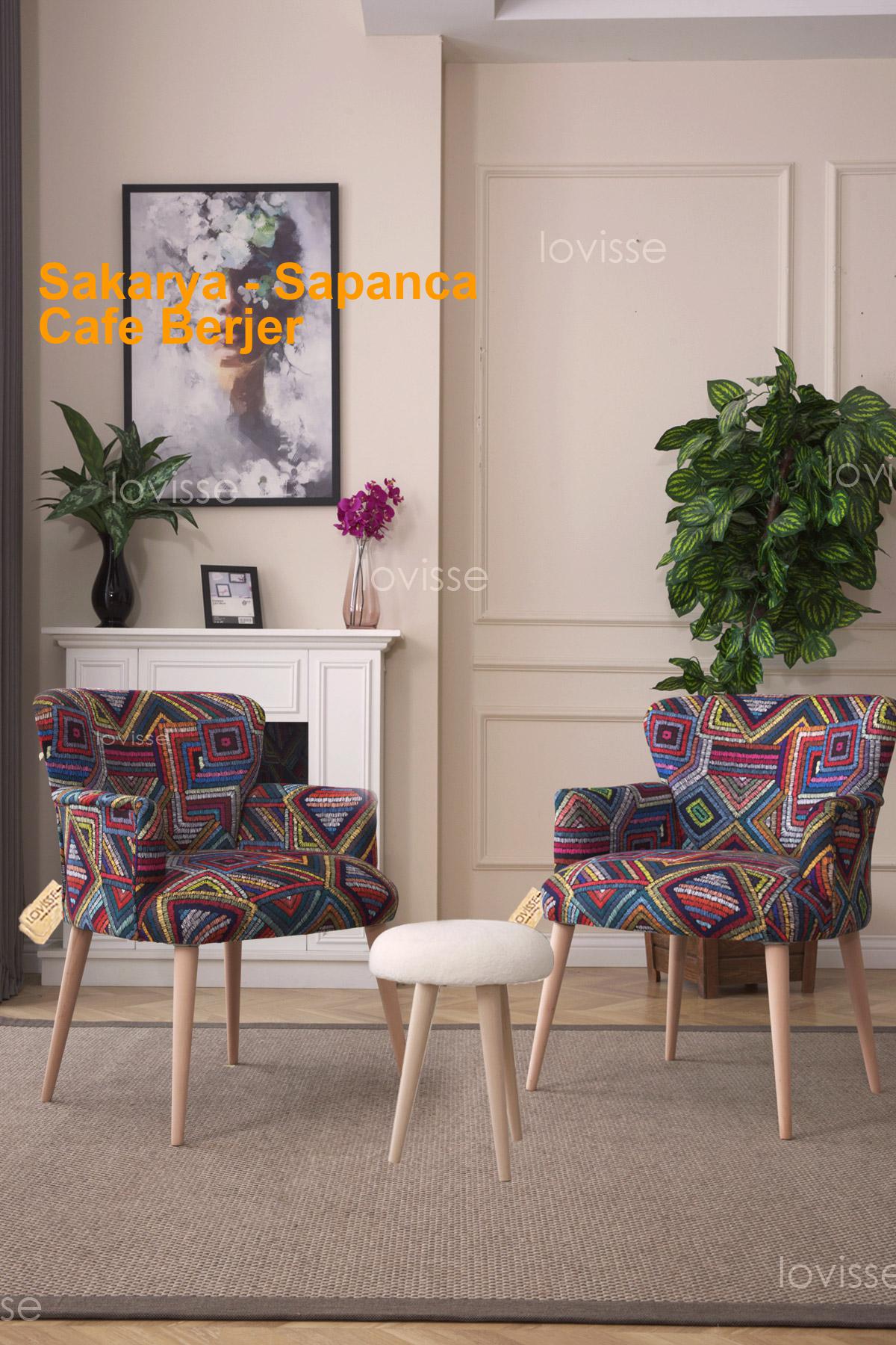 Sakarya Sapanca Cafe Berjer